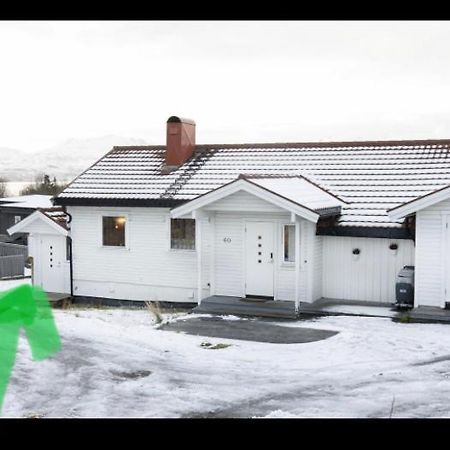 Lovely One Bedroom Apartment Тромсьо Екстериор снимка